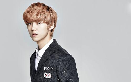 鸭脖哥鹿晗爆料视频播放,鸭脖哥爆料视频幕后真相大揭秘